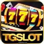 TG Slot Game