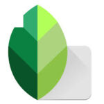 Snapseed Editor App